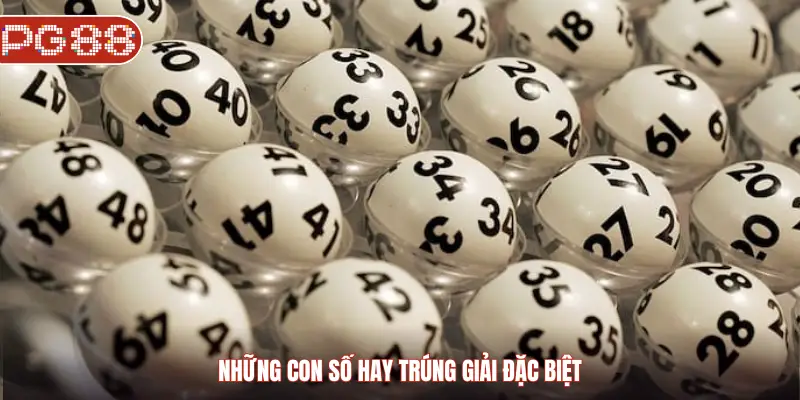 Những Con Số Hay Trúng Giải Đặc Biệt Và Bí Quyết Lựa Chọn Đúng Thời Điểm Những con số hay trúng giải đặc biệt
